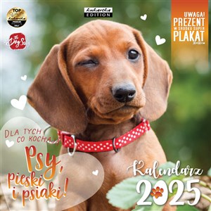 Picture of Kalendarz 2025 ścienny Classic Psy