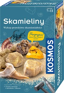 Obrazek Zestaw Archeologiczny Skamieliny