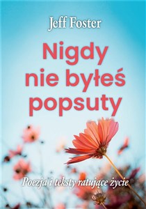 Picture of Nigdy nie byłeś popsuty