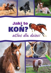 Obrazek Jaki to koń? Atlas dla dzieci