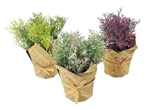 Obrazek Roślina w ozdobnej doniczce MIX