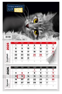 Picture of Kalendarz dwumiesięczny lux 2026