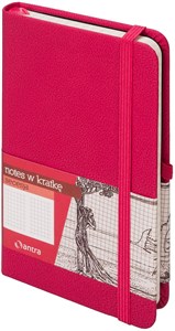 Obrazek Notes A6 z gumką Secesja kratka różowy