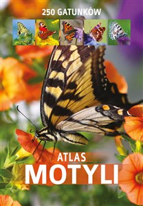Obrazek Atlas motyli