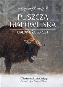 Picture of Puszcza Białowieska Ostatnia puszcza Europy