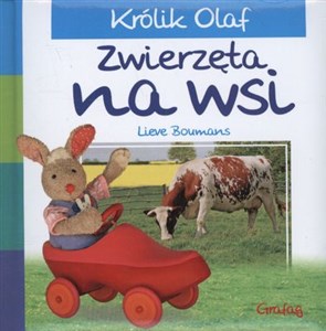 Picture of Królik Olaf Zwierzęta na wsi