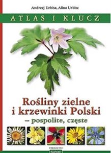 Obrazek Rośliny zielne i krzewinki Polski Rośliny zielne i krzewinki Polski - pospolite, częste. Atlas i klucz.