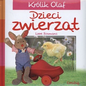 Picture of Królik Olaf Dzieci zwierząt