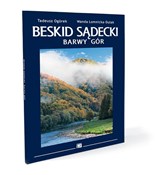 polish book : Album Besk... - Tadeusz Ogórek, Wanda Łomnicka-Dulak