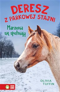 Picture of Deresz z Parkowej Stajni Tom 4 Marzenia się spełniają