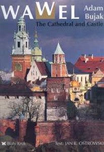 Obrazek Wawel the cathedral and castle