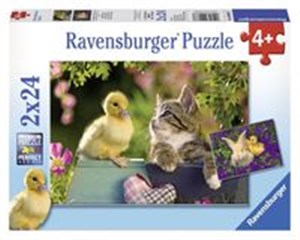 Picture of Królik i Kaczka 2x24