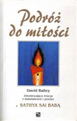 Podróż do ... - David Bailey -  foreign books in polish 