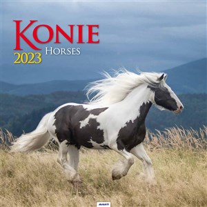 Obrazek Kalendarz 2023 spirala kw Konie KD22