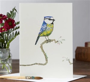 Obrazek Karnet A047 B6 + koperta Ptak modraszka