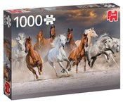 Polska książka : Puzzle 100...