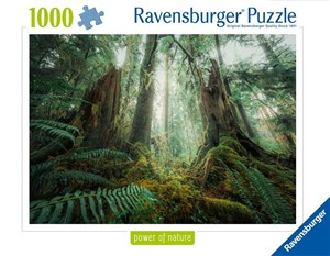 Picture of Puzzle 1000 Lasy