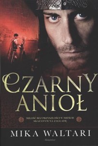 Picture of Czarny Anioł