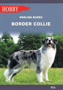 Picture of Border Collie wyd. 2