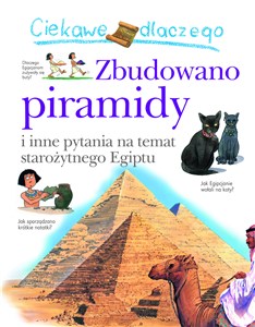 Picture of Ciekawe dlaczego zbudowano piramidy