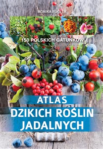 Picture of Atlas dzikich roślin jadalnych 150 polskich gatunków
