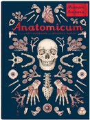 Anatomicum... - Jennifer Paxton -  books in polish 