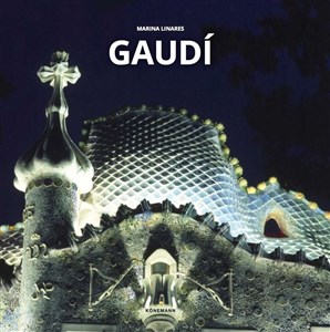 Picture of Gaudi