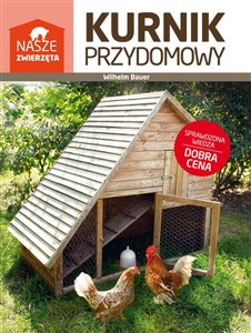 Obrazek Kurnik przydomowy