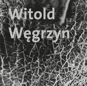 Obrazek Witold Węgrzyn Nieuchwytna materialność