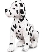 Polska książka : Pies dalma...