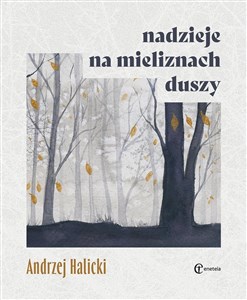 Picture of Nadzieje na mieliznach duszy