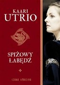 polish book : Spiżowy ła... - Kaari Utrio