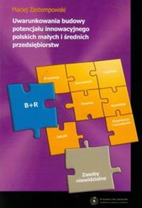 Picture of Uwarunkowania budowy potencjału innowacyjnego polskich małych i średnich przedsiębiorstw