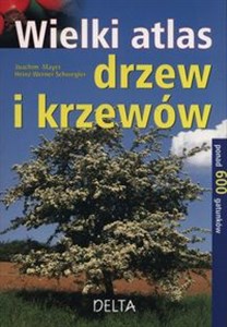 Picture of Wielki atlas drzew i krzewów