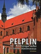 polish book : Pelplin w ...