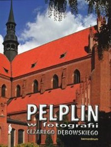Picture of Pelplin w fotografii Cezarego Dębowskiego