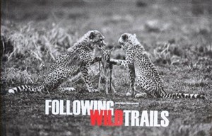 Picture of Following Wild Trails Tomasz Gudzowaty