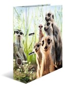 polish book : Segregator...