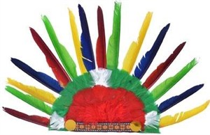 Picture of Pióropusz wodza