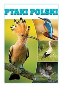 Ptaki Pols... - Opracowanie Zbiorowe -  Polish Bookstore 