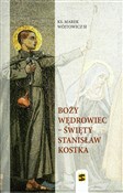 Boży wędro... - Marek Wójtowicz -  books in polish 