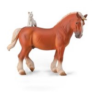 Picture of Draft Horse with cat