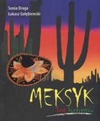 Meksyk kra... - Draga Sonia, Łukasz Gołębiewski -  foreign books in polish 