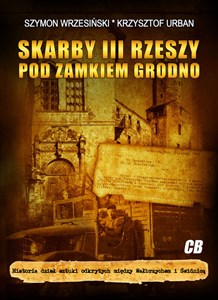 Picture of Skarby III Rzeszy pod zamkiem Grodno Historia dzieł sztuki odkrytych między Wałbrzychem i Świdnicą