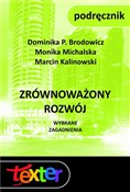 Książka : Zrównoważo... - Dominika P. Brodowicz, Monika Michalska, Marcin K