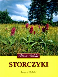 Picture of Storczyki
