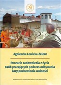 Poczucie z... - Agnieszka Lewicka-Zelent -  books in polish 