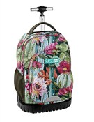 Polska książka : Plecak na ...