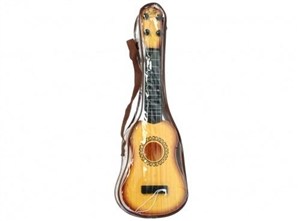 Picture of Gitara w pokrowcu