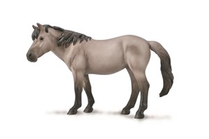 Picture of Konik Mare Blue Dun